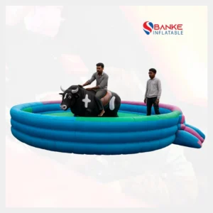 Mechanical Bull Ride